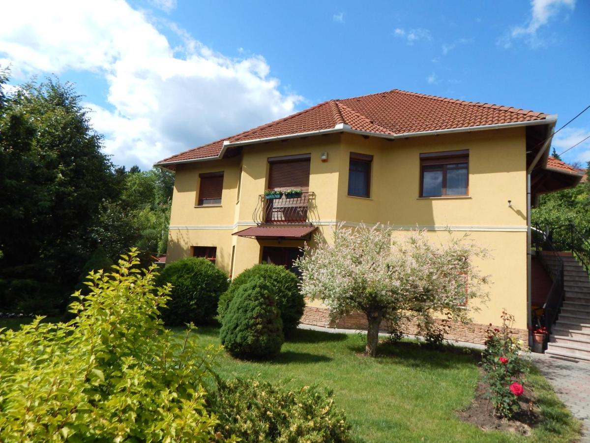 Voelgy Apartman Eger Luaran gambar